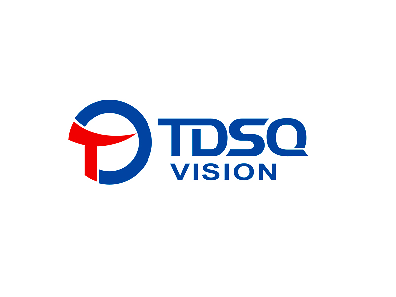 李杰的TDSQvisionlogo設計