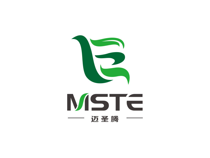 朱紅娟的MSTE 邁圣騰logo設計